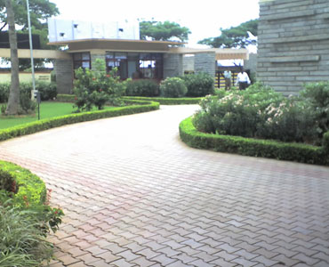 Paving Block Manufcaturer